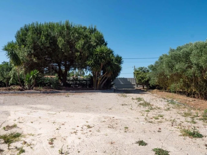 Apartamento T7 para Venda em Cela Foto 5