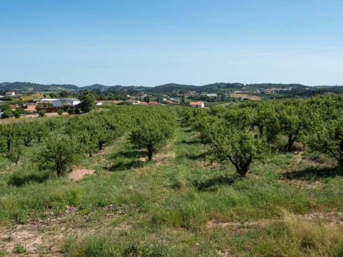 Apartamento T7 para Venda em Cela Foto 9