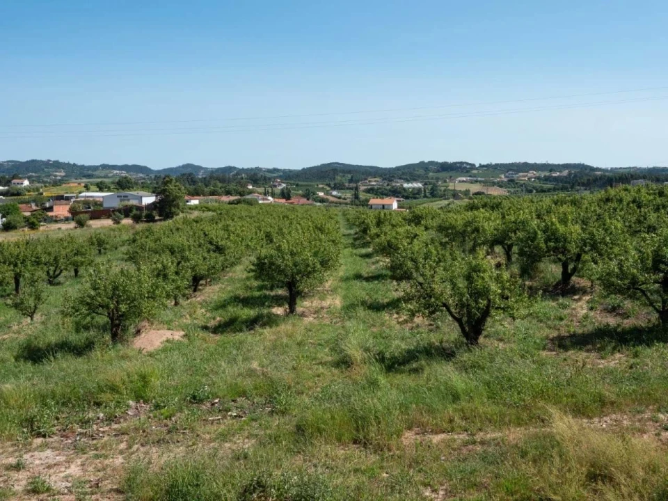 Apartamento T7 para Venda em Cela Foto 9
