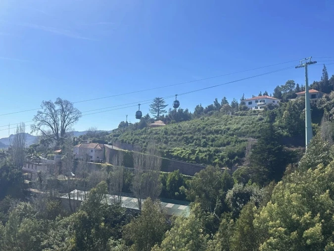 Terreno Agricola ou Rústico para Venda em Monte Foto 14