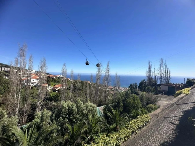 Terreno Agricola ou Rústico para Venda em Monte Foto 17