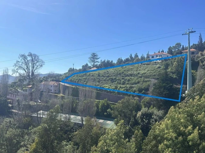 Terreno Agricola ou Rústico para Venda em Monte Foto 13