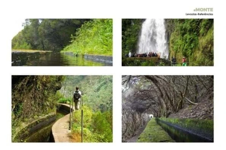 Terreno Agricola ou Rústico para Venda em Monte Foto 20