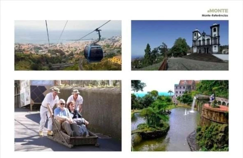 Terreno Agricola ou Rústico para Venda em Monte Foto 18