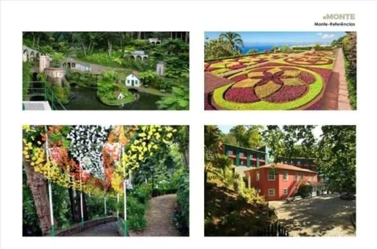 Terreno Agricola ou Rústico para Venda em Monte Foto 19