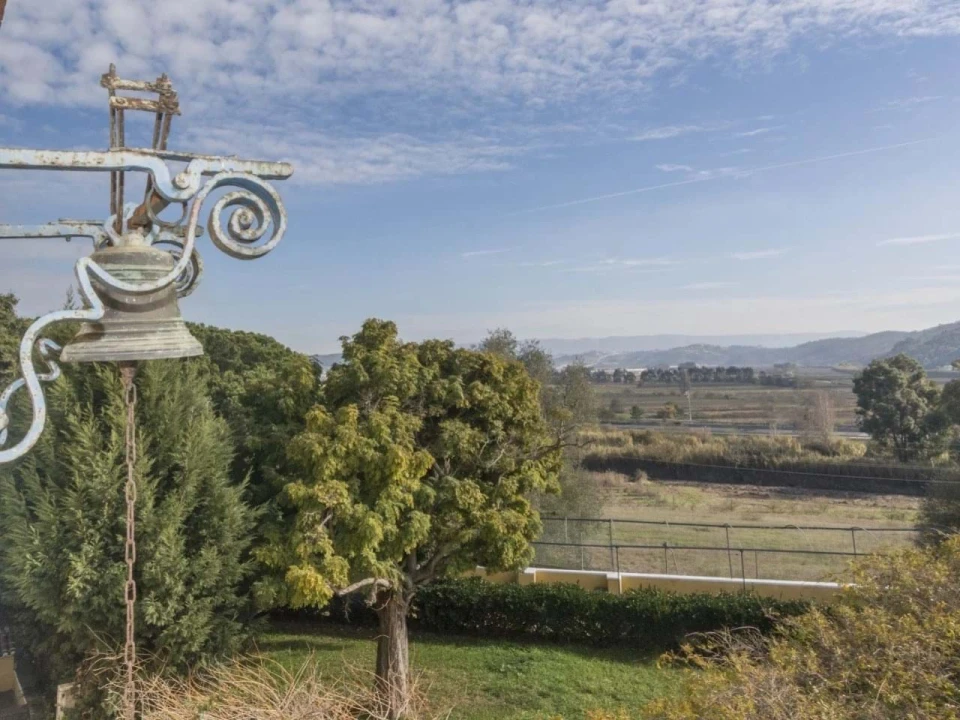 Quinta T14 para Venda em Valado dos Frades Foto 5