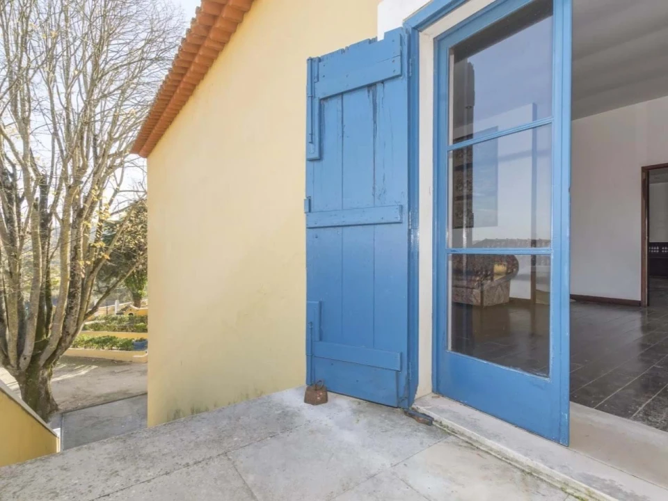 Quinta T14 para Venda em Valado dos Frades Foto 55