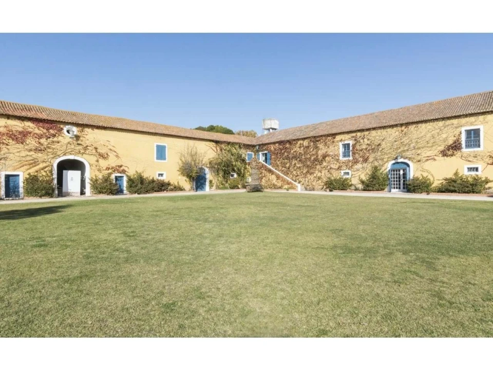 Quinta T14 para Venda em Valado dos Frades Foto 39