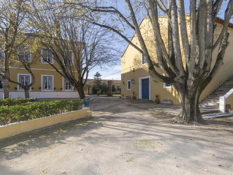 Quinta T14 para Venda em Valado dos Frades Foto 28