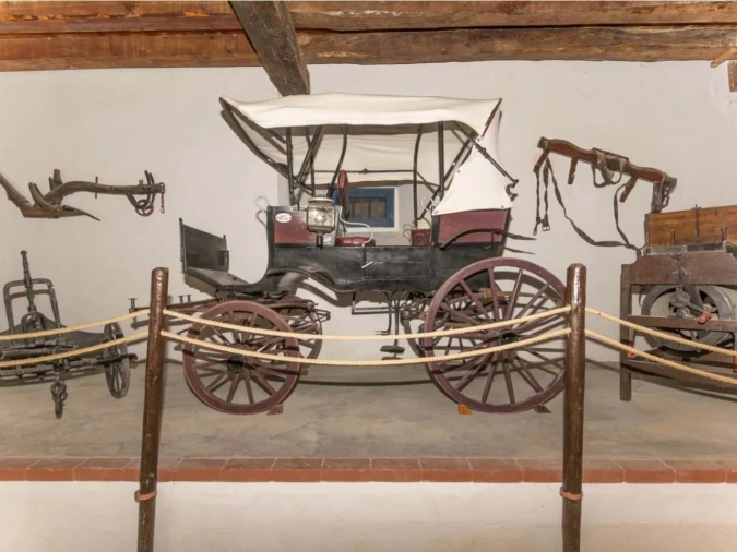 Quinta T14 para Venda em Valado dos Frades Foto 48