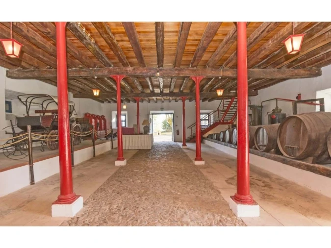 Quinta T14 para Venda em Valado dos Frades Foto 49