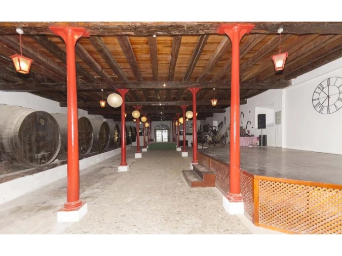 Quinta T14 para Venda em Valado dos Frades Foto 44