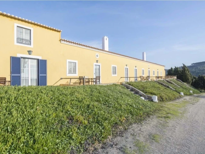 Quinta T14 para Venda em Valado dos Frades Foto 56