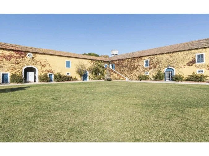 Quinta T14 para Venda em Valado dos Frades Foto 39