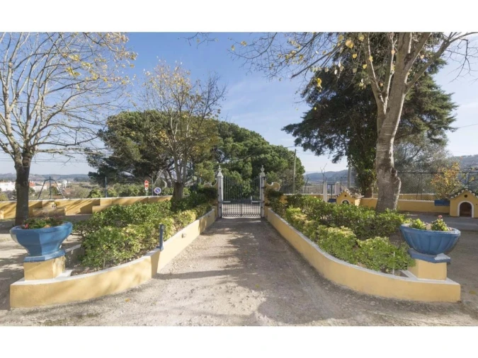 Quinta T14 para Venda em Valado dos Frades Foto 6