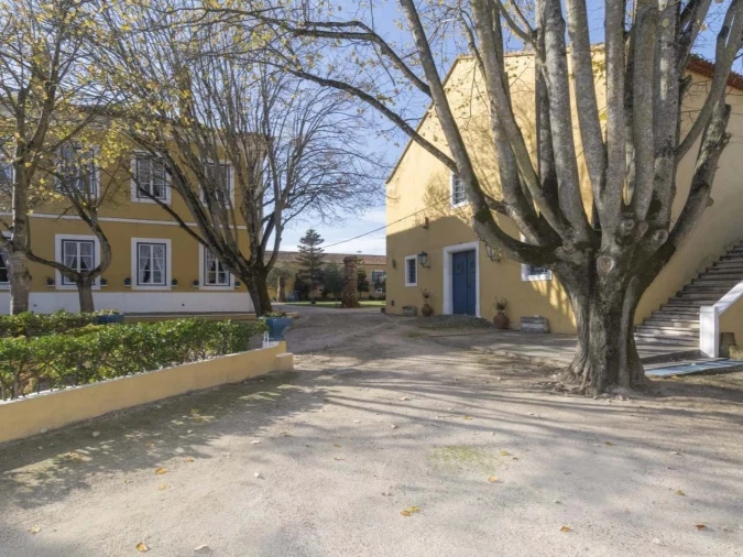 Quinta T14 para Venda em Valado dos Frades Foto 28