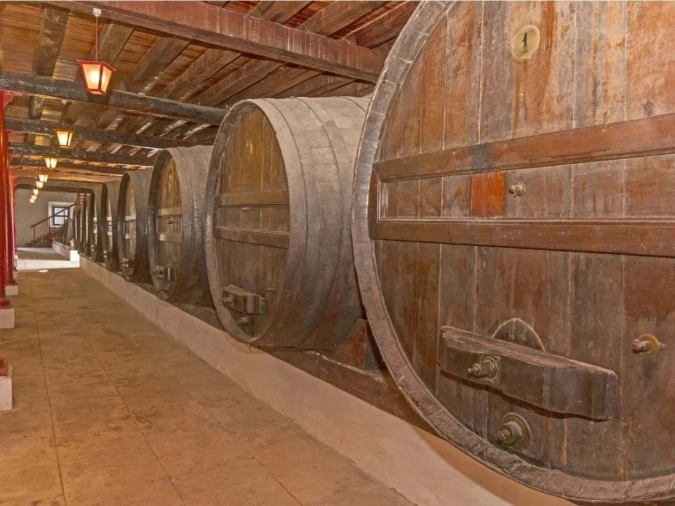 Quinta T14 para Venda em Valado dos Frades Foto 46