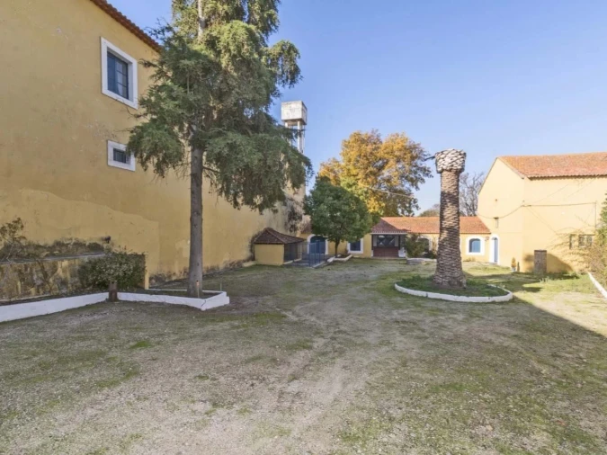 Quinta T14 para Venda em Valado dos Frades Foto 29