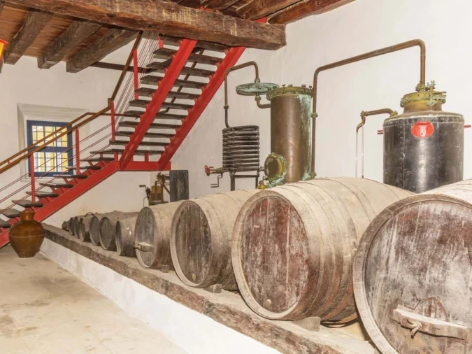 Quinta T14 para Venda em Valado dos Frades Foto 50