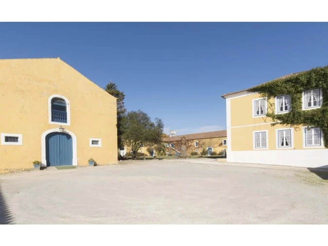 Quinta T14 para Venda em Valado dos Frades Foto 38