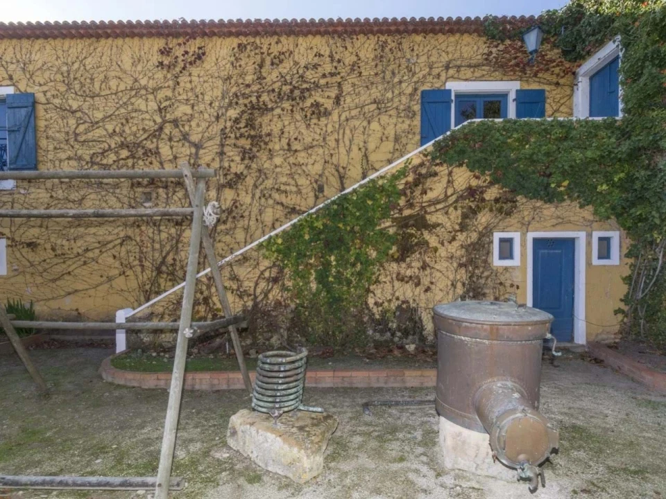 Quinta T14 para Venda em Valado dos Frades Foto 40