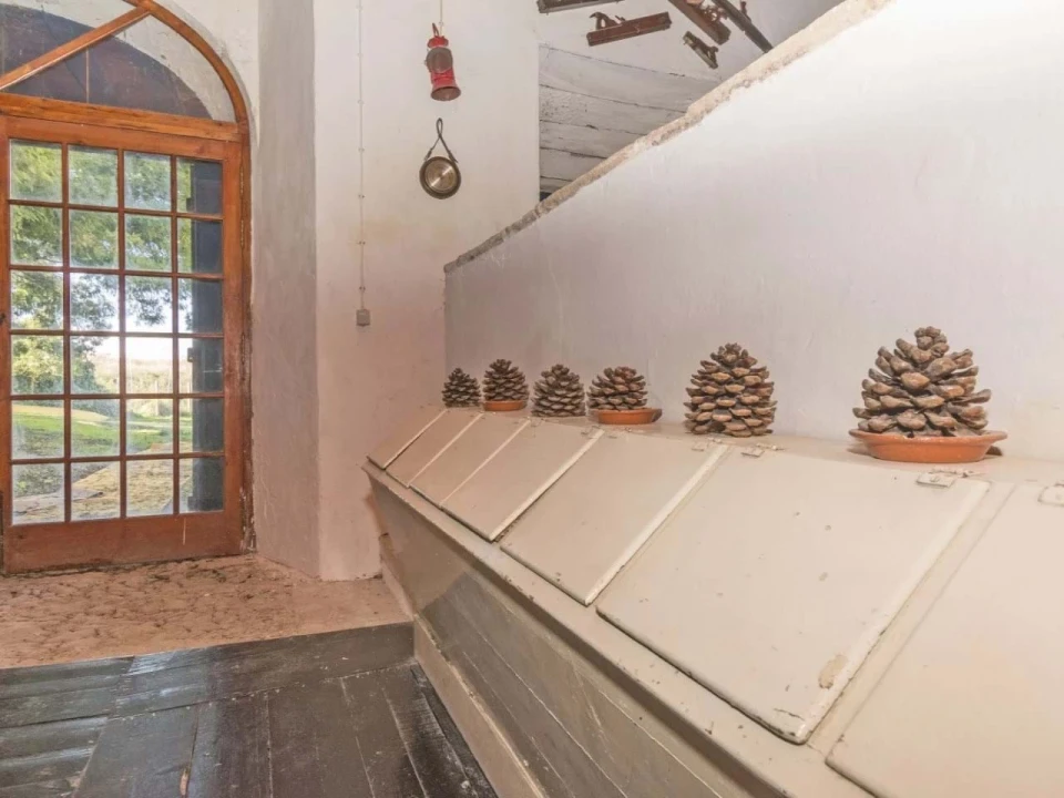 Quinta T14 para Venda em Valado dos Frades Foto 47