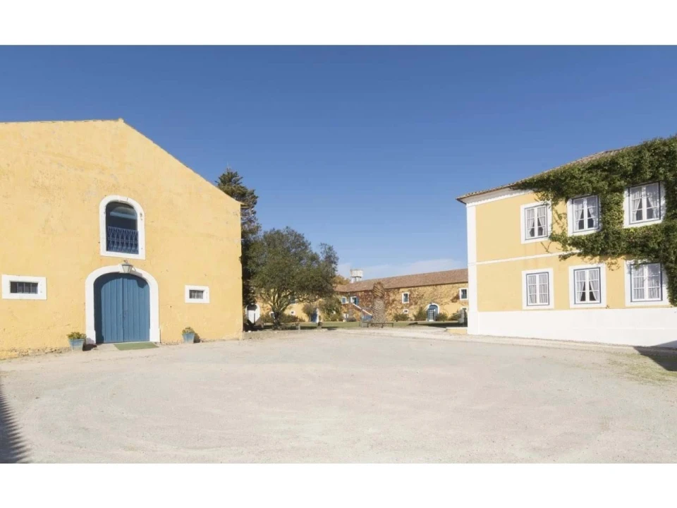 Quinta T14 para Venda em Valado dos Frades Foto 38