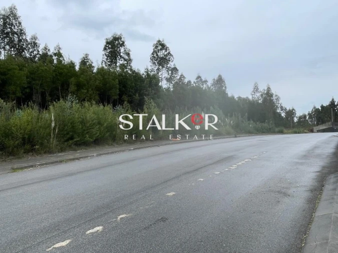 Terreno para Venda em São João de Ver Foto 6