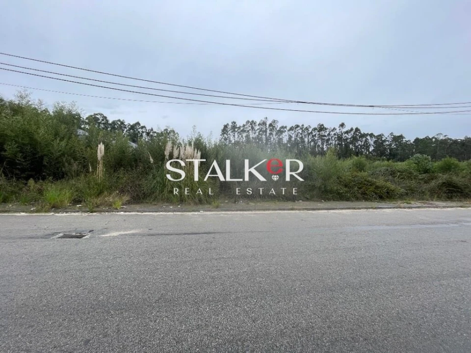 Terreno para Venda em São João de Ver Foto 7