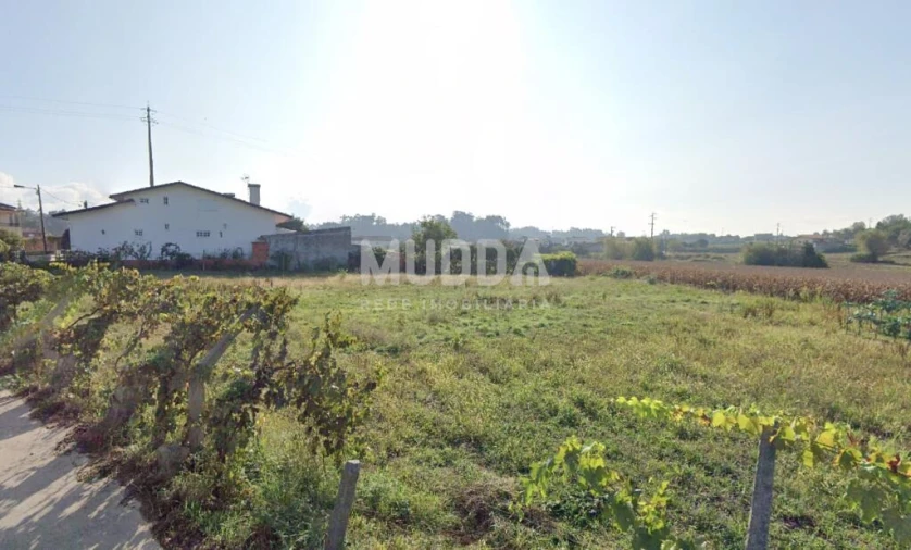 Terreno para Venda em Beduído e Veiros Foto 3