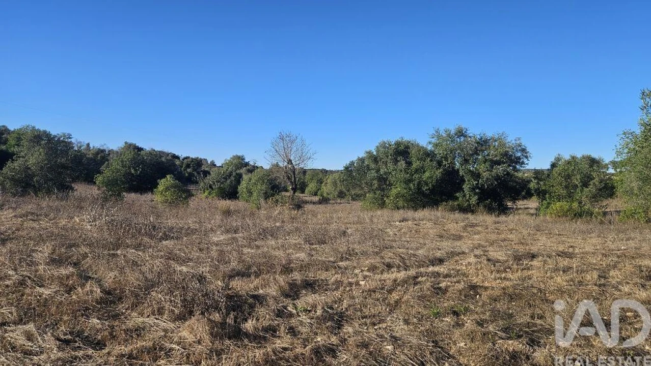 Terreno para Venda em Santa Barbara de Nexe Foto 3