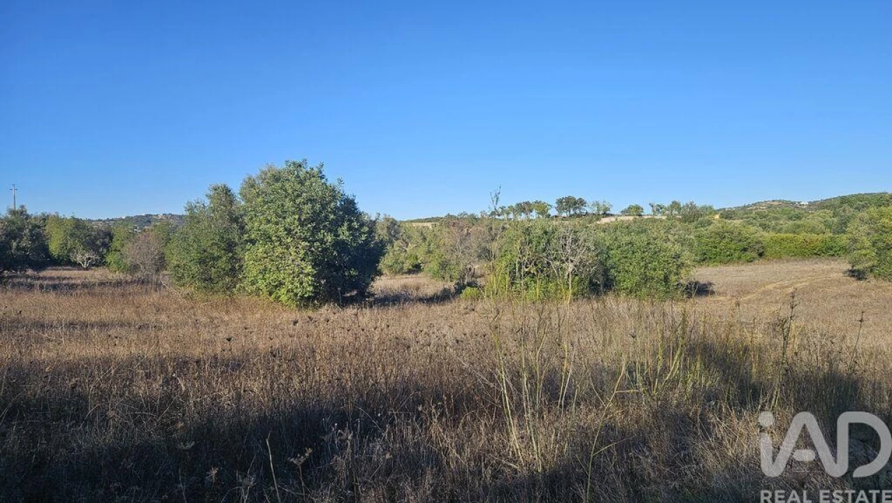 Terreno para Venda em Santa Barbara de Nexe Foto 1