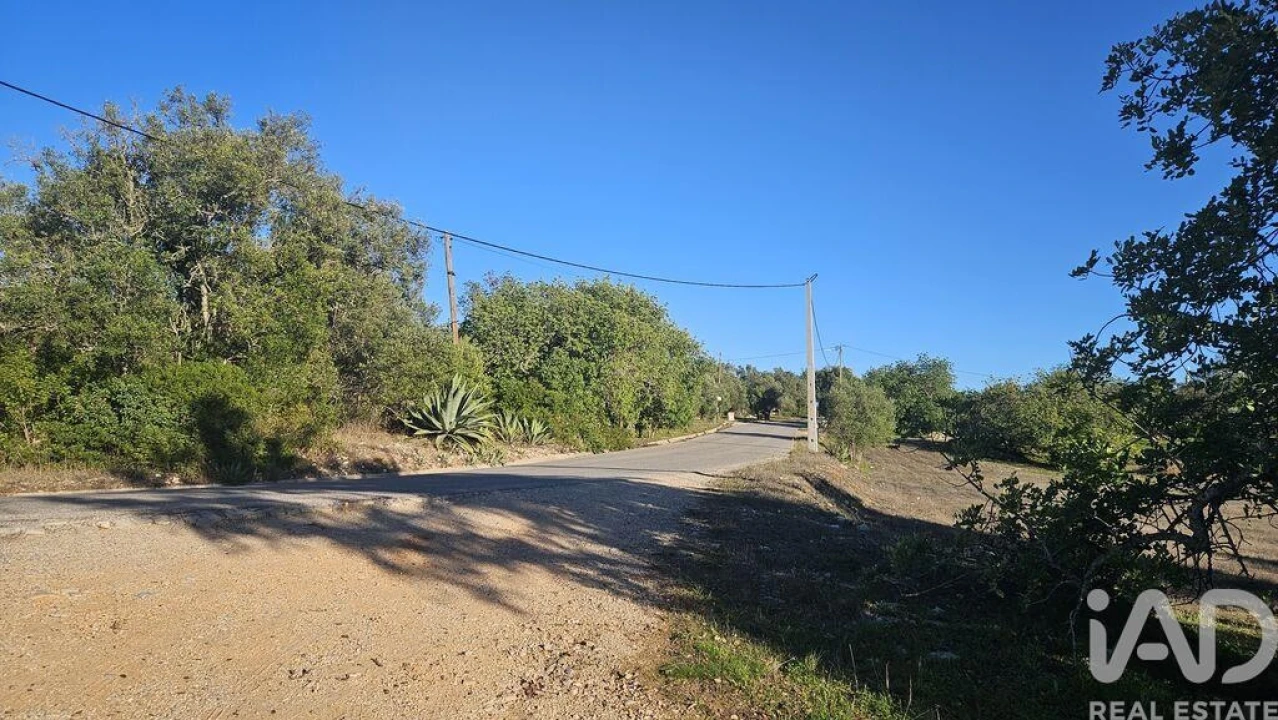 Terreno para Venda em Santa Barbara de Nexe Foto 14