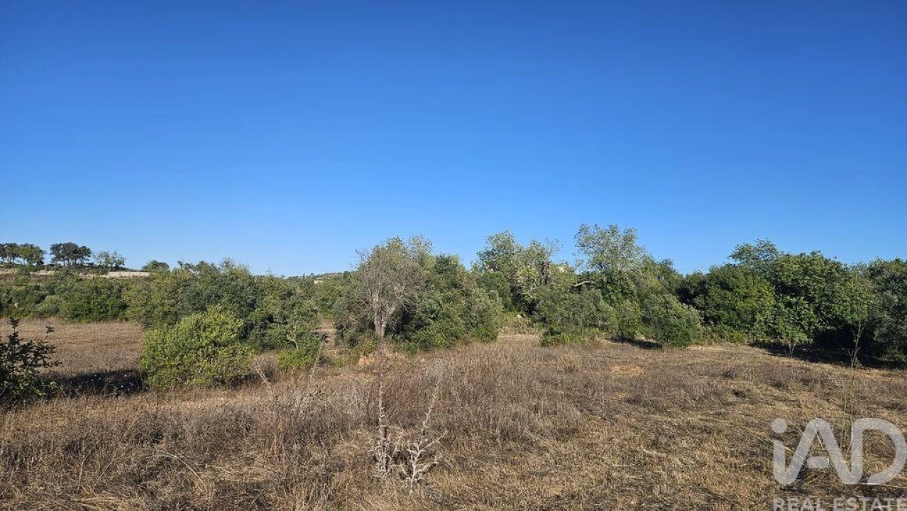 Terreno para Venda em Santa Barbara de Nexe Foto 5