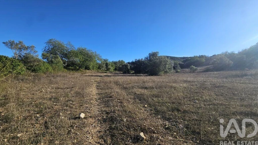Terreno para Venda em Santa Barbara de Nexe Foto 9