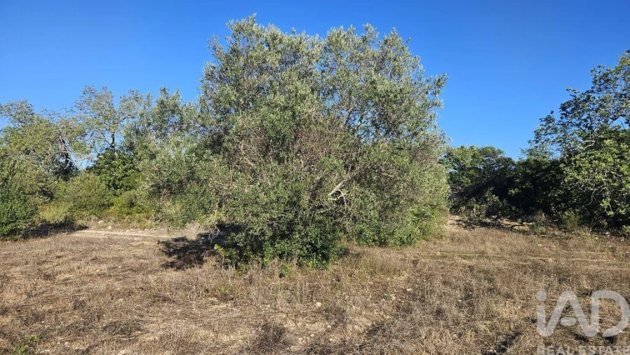 Terreno para Venda em Santa Barbara de Nexe Foto 4