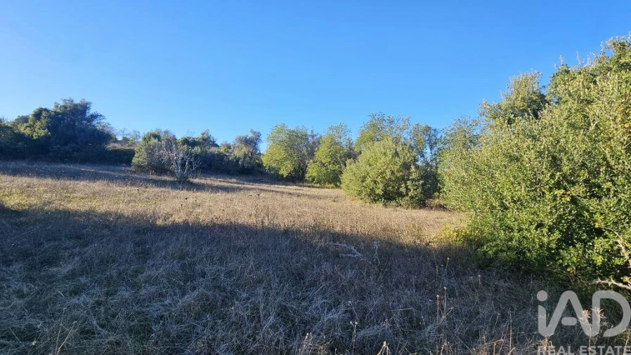 Terreno para Venda em Santa Barbara de Nexe Foto 7