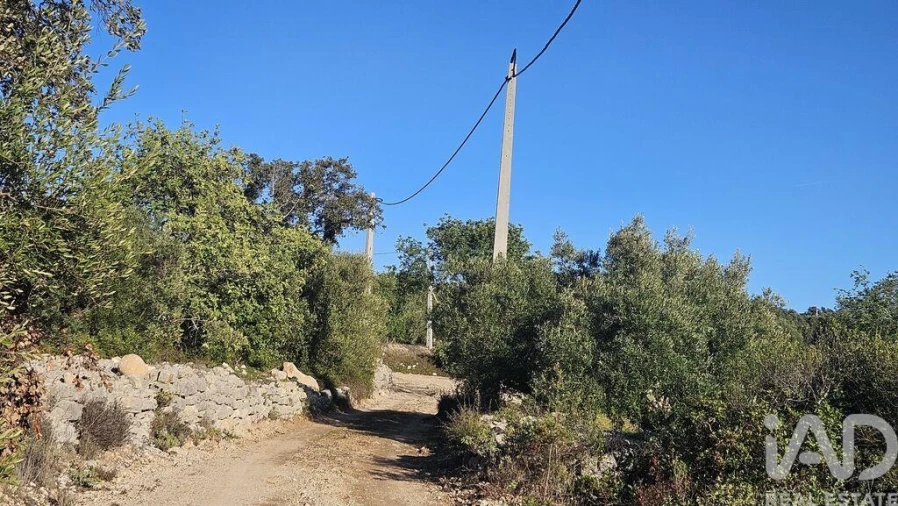 Terreno para Venda em Santa Barbara de Nexe Foto 11