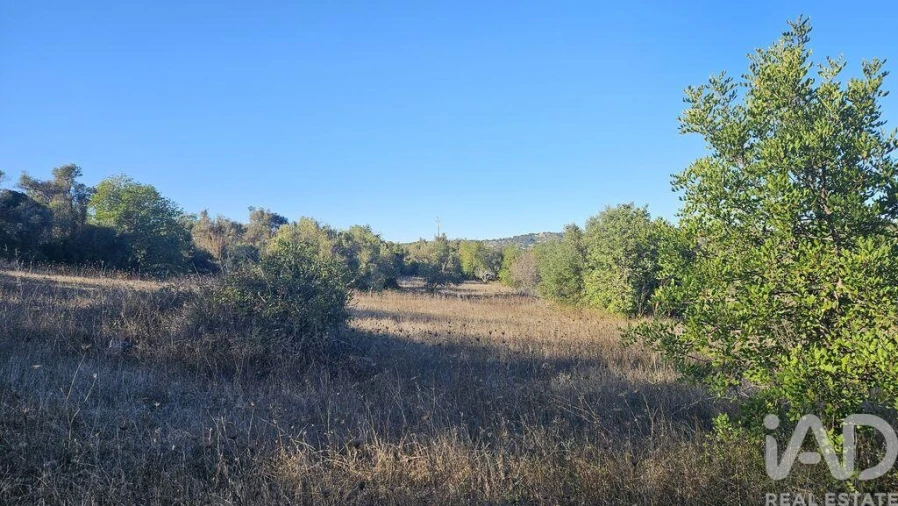 Terreno para Venda em Santa Barbara de Nexe Foto 6