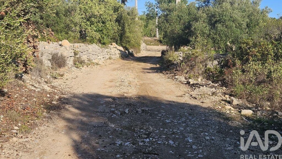 Terreno para Venda em Santa Barbara de Nexe Foto 12