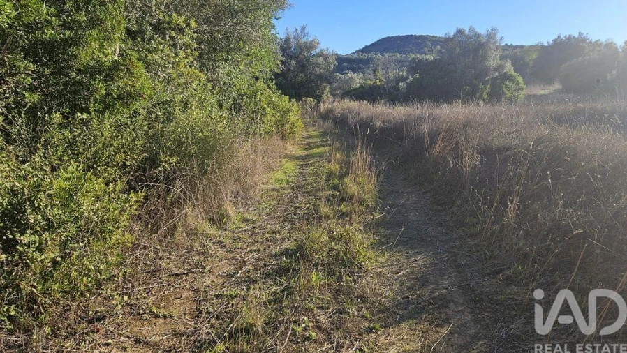 Terreno para Venda em Santa Barbara de Nexe Foto 10