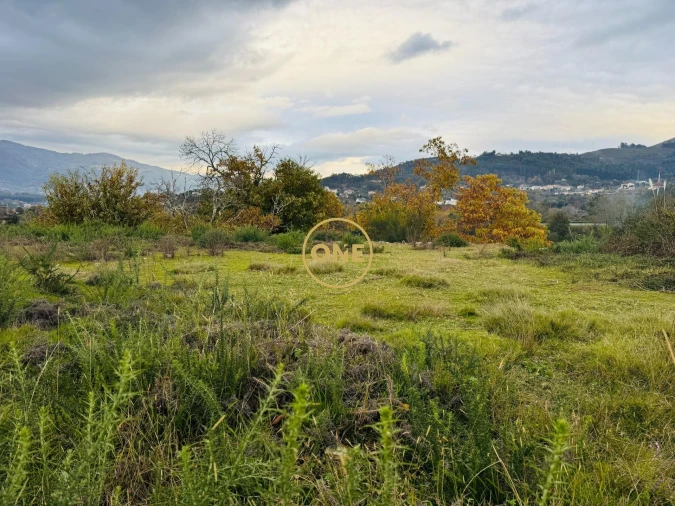 Terreno para Venda em Ribeira Foto 12