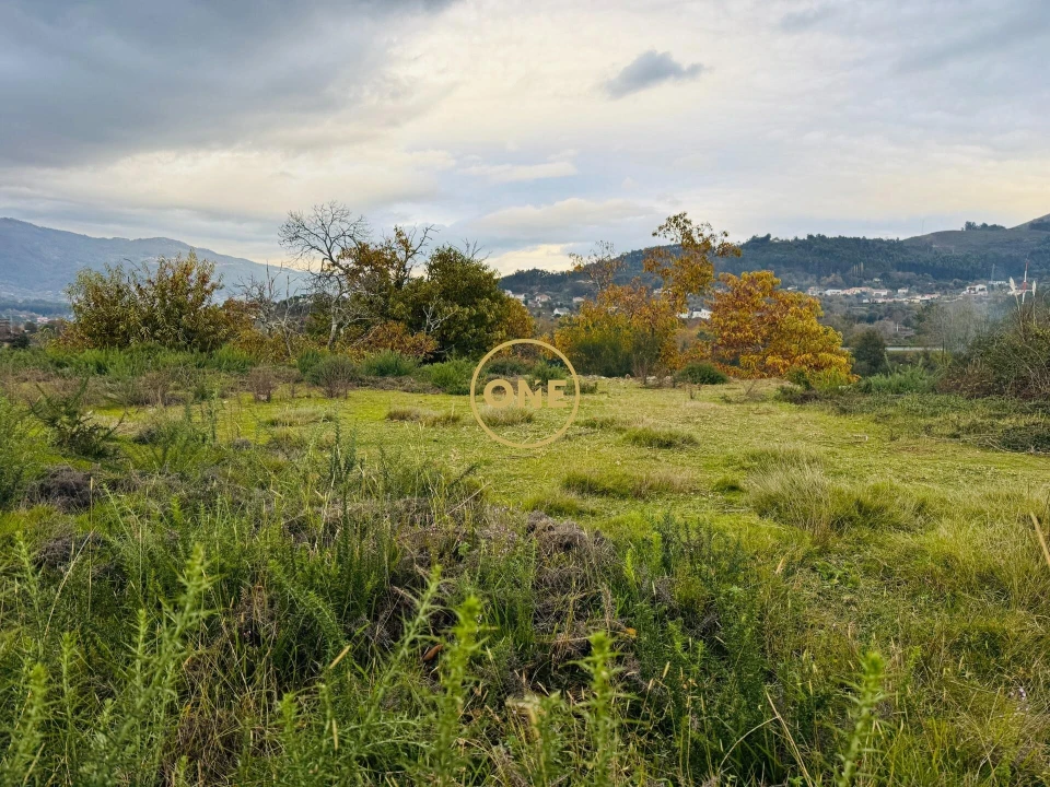 Terreno para Venda em Ribeira Foto 12