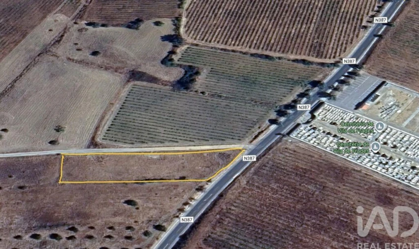 Terreno para Venda em Vila de Frades Foto 5