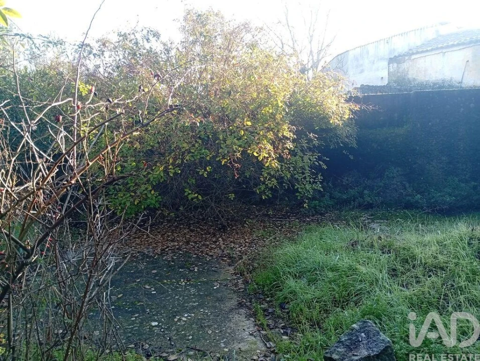 Moradia T3 para Venda em Três Povos Foto 14