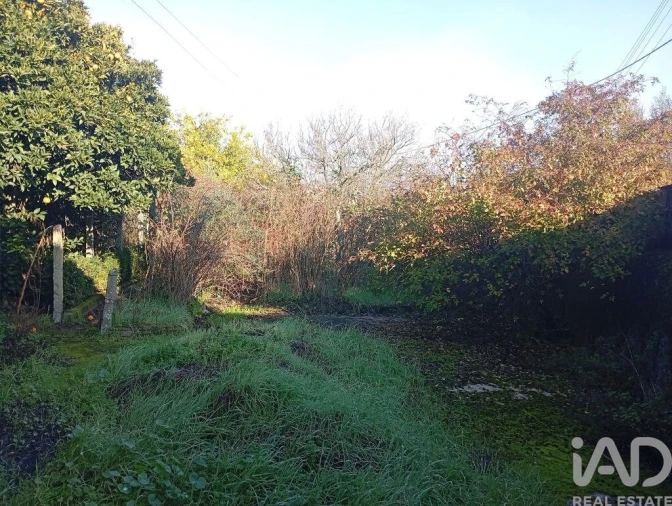 Moradia T3 para Venda em Três Povos Foto 13