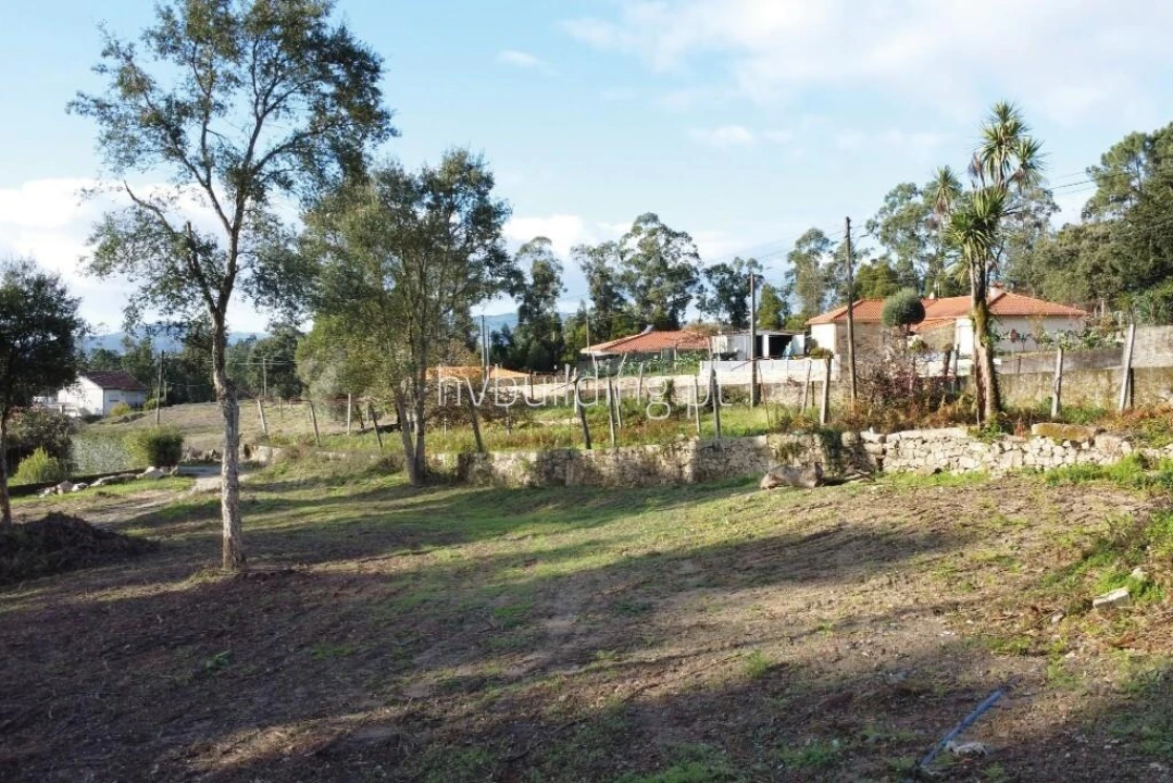 Terreno para Venda em Adães Foto 5