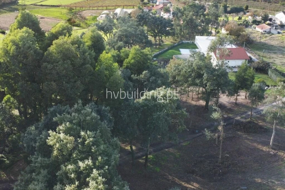 Terreno para Venda em Adães Foto 11