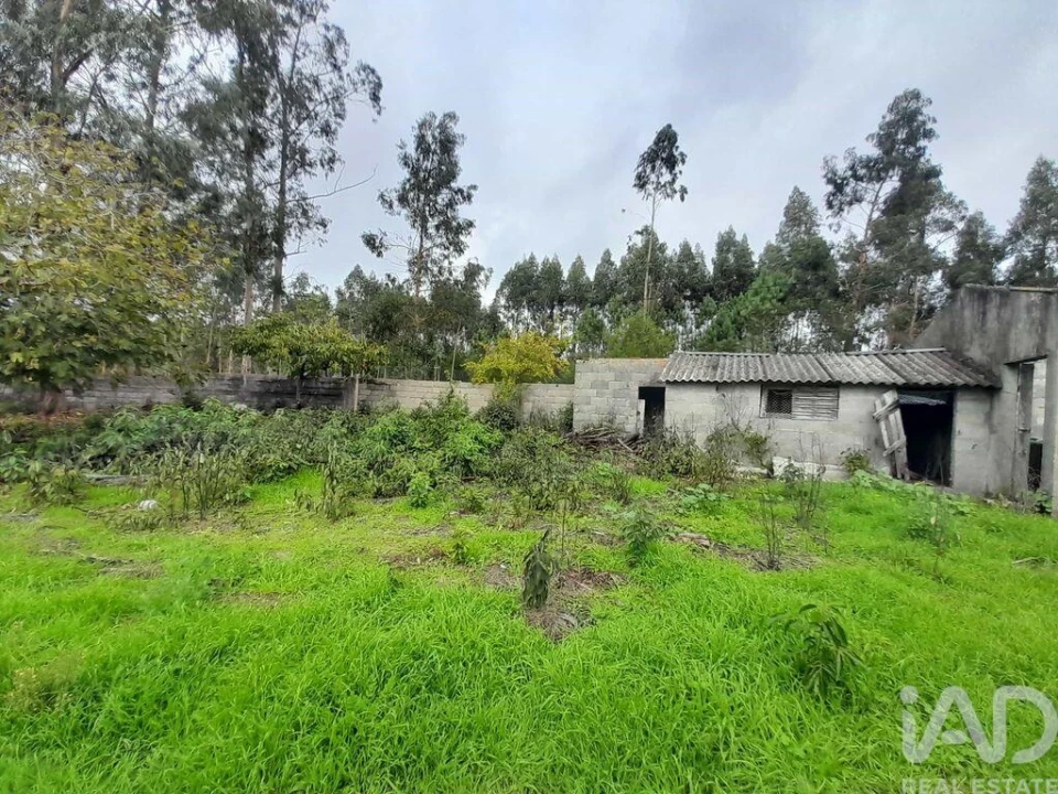 Terreno para Venda em Tocha Foto 2