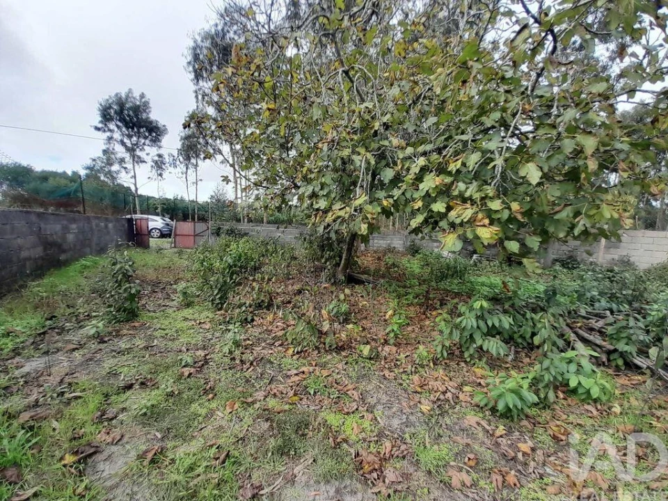 Terreno para Venda em Tocha Foto 1